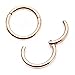 Hinged Seamless WildKlass Jewely Septum Clicker Ring 316L Surgical Steel (Sold Individually)