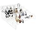 Nanas Display Earring Holder Organizer - Acrylic Earring Holder & Earring Organizer Stand | Earring Rack for Earring Storage