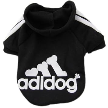 adidas pullover hund