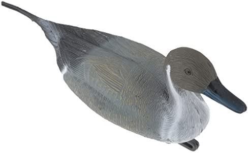 Señuelo Pato Huertos Urbanos Estructuras Control de Roedor ...