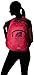 The North Face Haystack Backpack (Cabaret Pink/Cosmic Blue, One Size)