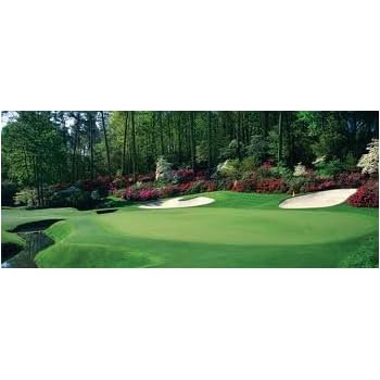 Amazon Com Princess 77 Hybrid Bermuda Grass Seeds 2 Lbs Bulk