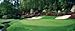 Princess 77 Hybrid Bermuda Grass Seeds 2 Lbs (Bulk)