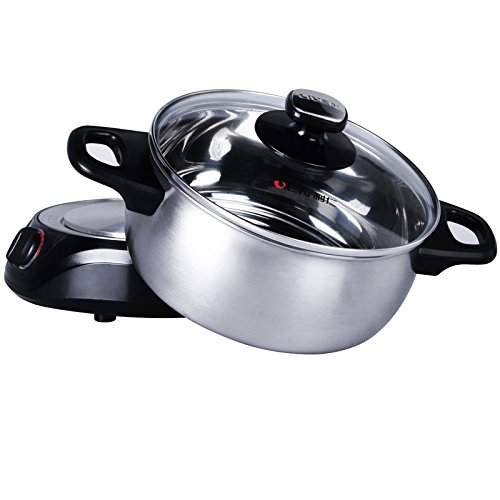 1 LIVEN+Electric+Stainless+Steel+DHG+200F