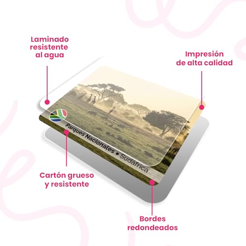 Menique. Juego de Memoria - Explora el Mundo. Hermosas fotografías de 50 países Diferentes.