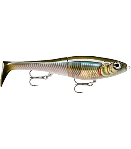 Amazon.com : X-Rap OTUS XROU25 ARB : Sports & Outdoors