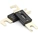 Baomain 2-Pack 100A ANL Fuse Bulk Value Pack with Gold-Plated Terminals for Car Audio, Amplifier, Truck, Boat, RV - 12V/24V Circuit Protection