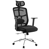 TOPSKY Mesh Computer Office Chair Ergonomic Design Chair Skeletal Back 3D Armrest Synchronous MechanismHanger Function(Black)