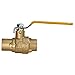 Everflow 405C034-NL Full Port Ball Valve with Drain, Forged Brass Construction w/Chrome Plated Brass Body with 3/4 Inch SWT, Blow Out Proof Stem Design, Stainless Steel Ball Handle with Vinyl Grip
