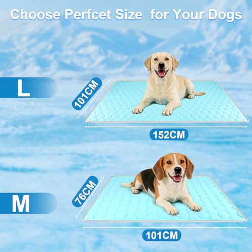 Vivifying Couverture rafraîchissante pour Chien 152 x 101 cm, Tapis réversible en Soie glacée avec Dos en Peluche Douce, Couverture d’été pour canapé, lit, Cage, Sol et Voyage (Bleu/Gris)