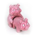 Big Mouth Toys Naughty Pigs Salt and Pepper Shaker Set Home Supply Maintenance Store