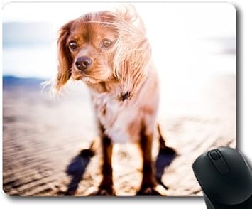 カスタムマウスパッド 犬ファンマウスパッド かわいい犬がかわいい犬に寄り添う 犬のゲームマウスパッド Yanteng マウスパッド 通販 Amazon