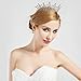 BABEYOND Crystal Queen Tiara Birthday Crown Rhinestones Pageant Quinceanera Crown Prom Princess Tiara Crown Bridal Wedding Crown Tiara Headband (Silver)