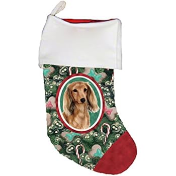 Amazon Com Best Of Breed Dachshund Cream Longhair Dog Breed