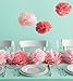 Martha Stewart Crafts Pom Poms, Pink, Medium