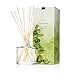 Thymes Reed Diffuser - 6.5 Fl Oz – Eucalyptus