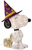 Product Works 28-Inch Pre-Lit 2D Peanuts Snoopy Halloween Yard Decoration