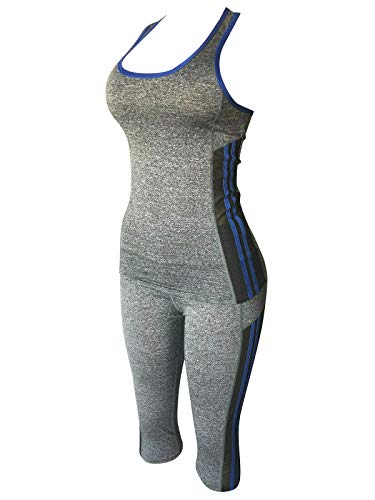 Women Gym Yoga Workout Activewear Set 2 Pieces Top+Leggings Set Sportswear (L/XL = US 8-12, Mesh Blue/Grey)