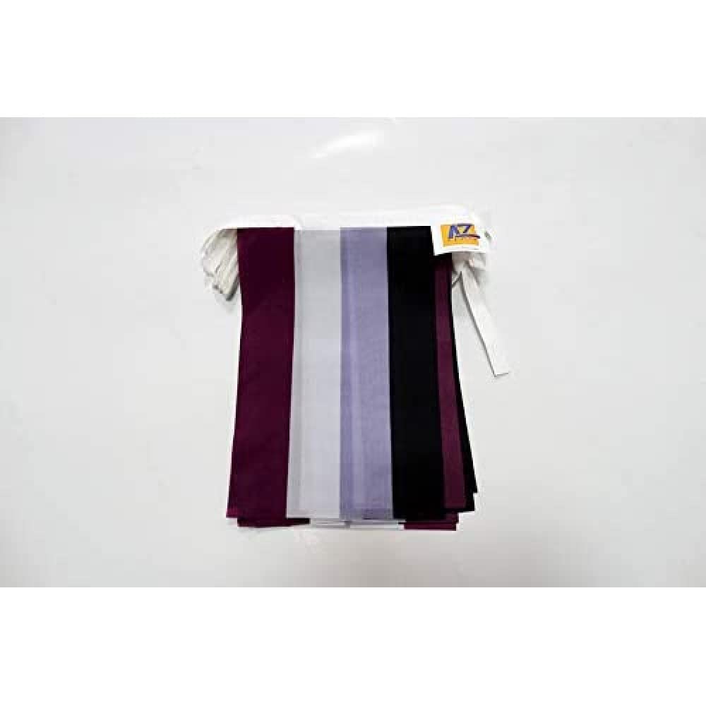 AZ FLAG Asexual Rainbow Bunting Flag, 20 Ft Garland with 20 Small asexual movement Flags 8'' x 6'', 100% Polyester String Pennant, 6 meters