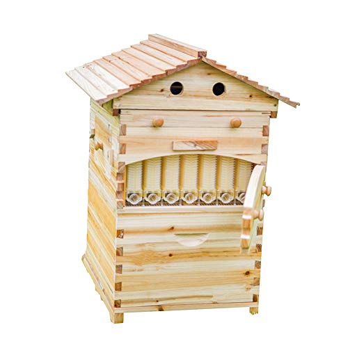 LANGLANG Automatic Bee Hive Kit