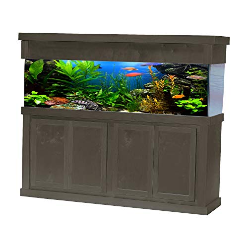 72X24 Espresso Birch Modern Series 32″ Tall Cabinet with Trim Around The Bottom & 72X24 Espresso Birch Modern Series 10″ Tall Canopy with Square Trim