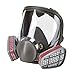 Holulo Full Face Facepiece Respirator Paint Spray Mask with 2 x Organic Vapor Cartridges