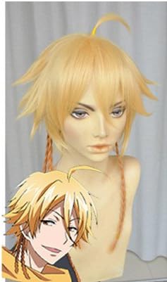 Amazon Vision Servamp サーヴァンプ 有栖院御国 ありすいん みくに 風 クリスマス ハロウィン イベント仮装 コスプレウィッグ ウイッグネット R2227 コスプレ 仮装 通販