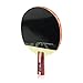 DHS 4-Star 4006 Pen Hold Premium Table Tennis Racket Ping Pong Paddle Blade Inverted Rubber with Carry Case