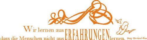 Indigos Wall Sticker, Vinyl, Orange, 96 x 27 cm