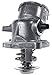MAHLE TM29100D Map-Controlled Thermostat