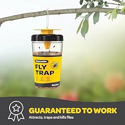 Outdoor Fly Trap [Set of 2] Fly Traps Outdoor with