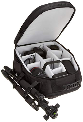image for AmazonBasics DSLR and Laptop Backpack - Gray interior (Certified Refur