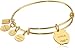 Alex and Ani Apple EWB, Shiny Gold Bangle Bracelet