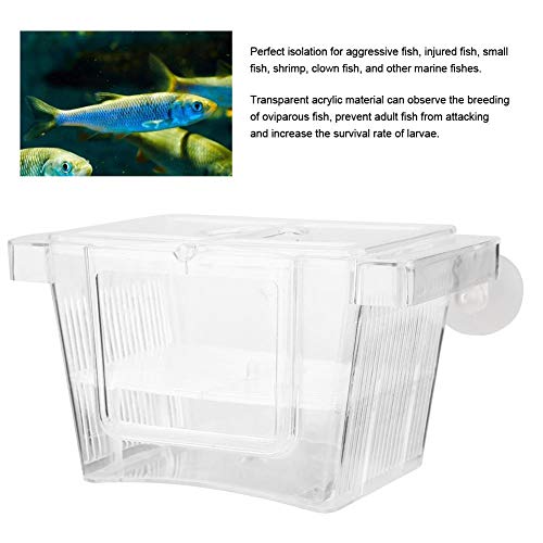 3 Pssopp+Aquarium+Multifunctional+Isolation+Incubator