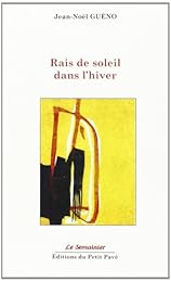 Rais de soleil dans l'hiver