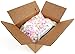 NECCO Sweethearts Conversation Hearts, 1 lb Bag Frustration Free Packaging