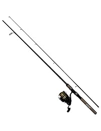 Daiwa dsk25 b f662 m d shock Reel & Rod Combo 6 '6" Medium Acción, color negro y dorado