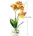 Dynabit Small Handmade Silk Artificial Flower Arrangements with Vase,Vivid Phalaenopsis Orchid Bonsai,Orange