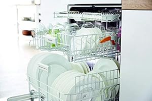 g 4203 sc active freestanding dishwasher