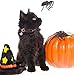 Halloween Cat Collar Breakaway with Bell - 2 Pack Adjustable Soft Cute Pet Collars for Kittens