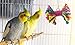 Sweet Feet and Beak Chew Popper Bird Foraging Toy - Toys for Bird Cages - Tough Plastic Pet Toy - Foraging Toys for Parrots, Cockatiels, Lovebirds, Budgies & Other Birds - Bird Accessories (Small)