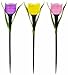 Six Plastic Solar-Powered Tulip-Shaped Stake Lights, 2 Pink 2 Purple 2 Yellow (6, Multi)