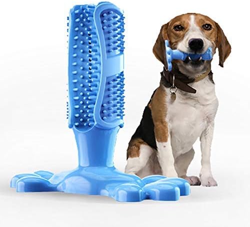 dog tooth brushing toy