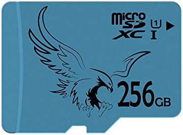 BRAVEEAGLE 256GB Micro SD Card Class 10 Flash Memory Card with SD Adapter for GoPro/Dash Cam (256GB U1)