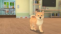 My Universe: Pets Edition