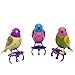 DigiBirds - 3 Count Set of DigiBirds - Purple Set