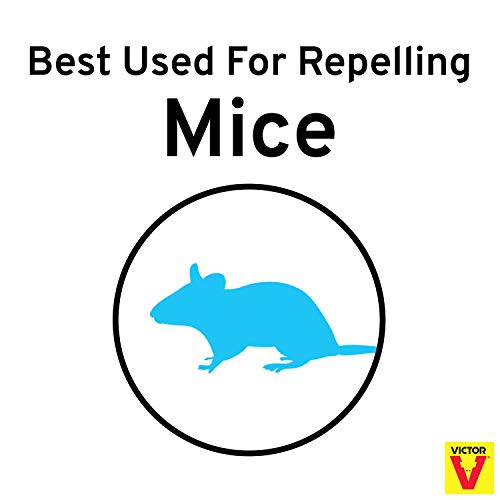 Victor M805 ScentAway Natural Rodent Repeller Peppermint Oil Mouse and Rat Repellent 5 High