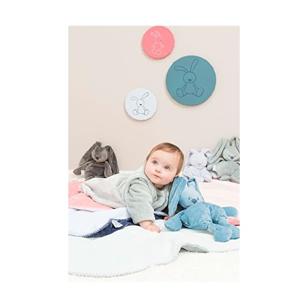 Nattou Kuscheltier Hase Lapidou, Wegbegleiter ab der Geburt, 36 cm, Koralle – Bild 5