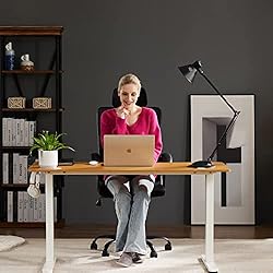 Standing Desk, 40 x 24 in Electric Height