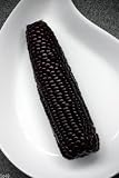 #1300 Sweet Giant Black Mexican Corn 35 seeds
